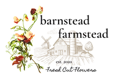 BF logo.png